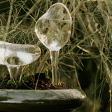 image--hover