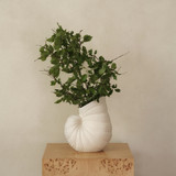 image--hover