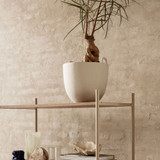 image--hover